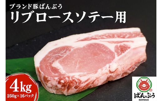 ブランド豚「ばんぶぅ」リブロース ソテー用 4.0kg(250g×16パック) 42-AM