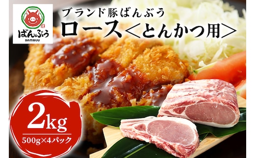 ブランド豚「ばんぶぅ」ロース とんかつ用 2.0kg(500g×4パック) 42-AO