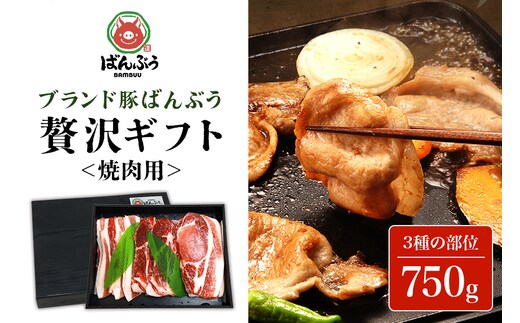 ブランド豚「ばんぶぅ」ギフト 焼肉用 750g 42-BB