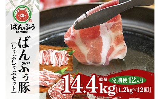 【定期便12ヶ月】ブランド豚「ばんぶぅ」しゃぶしゃぶセット 合計1.2kg 定期便 ばんぶぅ 豚肉 豚バラ肉 しゃぶしゃぶ しゃぶしゃぶセット 豚バラ ロース 肩ロース 焼き肉 しゃぶしゃぶ肉 焼肉用 ぶた肉 ブタ肉 国産 茨城県産 ギフト プレゼント 冷凍 高級部位 ブランド豚 42-CA