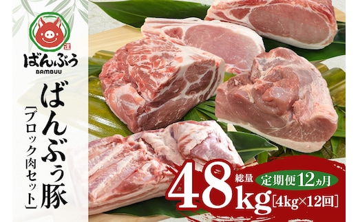 【定期便12ヶ月】ブランド豚「ばんぶぅ」ブロック肉セット（計4kg） 定期便 ばんぶぅ 豚肉 豚バラ肉 ブロック肉 しゃぶしゃぶ 焼き肉 ロース 豚バラ 肩ロース モモ ブロック 真空パック しゃぶしゃぶ肉 焼肉用 ぶた肉 ブタ肉 国産 茨城県産 ギフト プレゼント 冷蔵 高級部位 ブランド豚 42-CE
