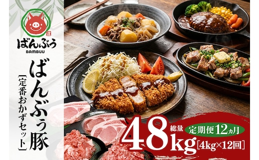 【定期便12ヶ月】ブランド豚「ばんぶぅ」定番おかずセット（計4kg） 定期便 ばんぶぅ 豚肉 リブロース ソテー ロース とんかつ ミンチ 切り落とし 真空パック 定番 おかず トンカツ ひき肉 ソテー用 ぶた肉 ブタ肉 国産 茨城県産 ギフト プレゼント 冷蔵 高級部位 ブランド豚 42-CY