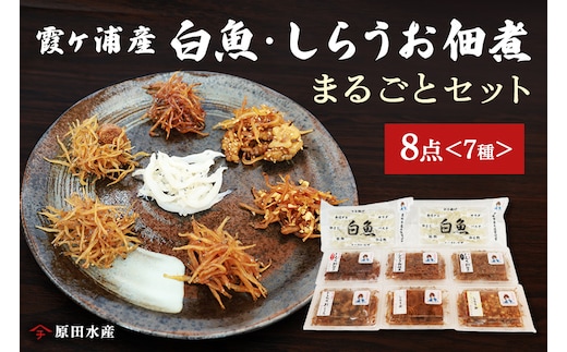 霞ヶ浦産しらうおまるごとセット 49-A