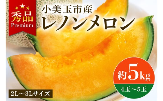 【数量限定・先行予約】 おみたまレノンメロン 赤肉 約5kg 4玉～5玉 秀品 メロン 赤肉メロン 高級 品種 果物 くだもの フルーツ ギフト 贈り物 贈答用 お中元 お祝い 内祝い 誕生日 記念日 プレゼント 父の日 母の日 デザート お見舞い お供え 国産 茨城 小美玉 【7月11日まで受付・6月以降順次発送予定】 52-A