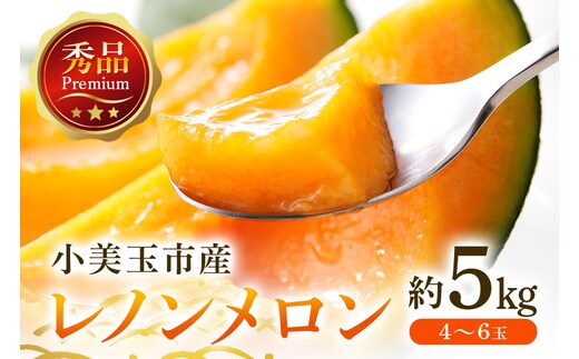 【数量限定・先行予約】 レノンメロン 赤肉 約5kg 4玉～6玉 秀品 【4月20日まで受付・4月～5月上旬順次発送予定】 52-B