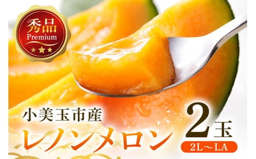 【数量限定・期間限定】 レノンメロン（赤肉）2玉 52-C 【4月20日まで受付・4月～5月上旬順次発送予定】