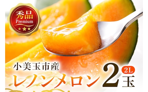 【数量限定・先行予約】 おみたまレノンメロン 赤肉 2玉 秀品 メロン 赤肉メロン 高級 品種 果物 くだもの フルーツ ギフト 贈り物 贈答用 お中元 お祝い 内祝い 誕生日 記念日 プレゼント 父の日 母の日 デザート お見舞い お供え 国産 茨城 小美玉 【7月11日まで受付・6月以降順次発送予定】 52-D