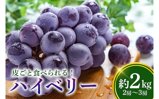 【数量限定・期間限定】 ハイベリー 約2kg（2房～3房） 54-B