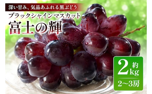 【数量限定・期間限定】 ブラックシャインマスカット「富士の輝」約2kg（2房～3房） 54-E