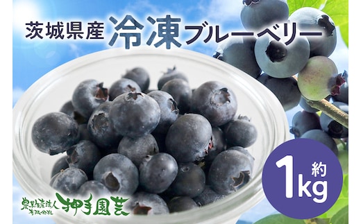 冷凍ブルーベリー 約1kg 55-C