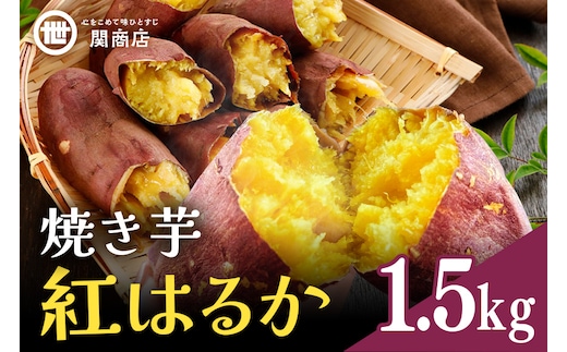 【期間限定】 関商店 焼き芋 紅はるか 1.5kg 62-G ＜2026年4月20日まで受付＞