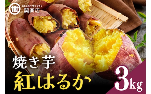 【期間限定】 関商店 焼き芋 紅はるか 3kg 62-H ＜2026年4月20日まで受付＞