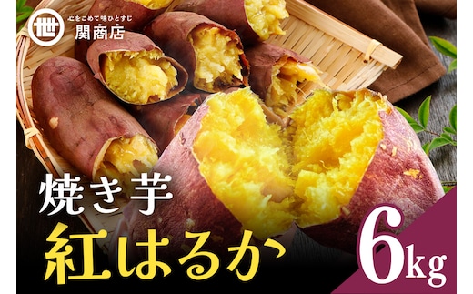 【期間限定】 関商店 焼き芋 紅はるか 6kg 62-I ＜2026年4月20日まで受付＞