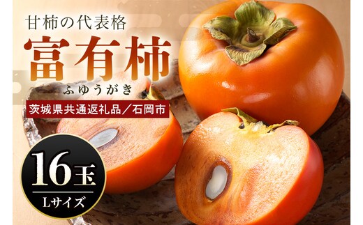 【数量限定・先行予約】 富有柿 L 16玉 《11月13日～12月10日発送予定》 (茨城県共通返礼品 石岡市) 67-A