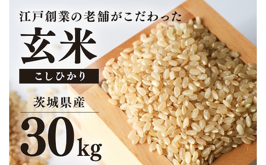 【期間限定】 こしひかり 玄米 30kg 69-A ＜2026年7月31日まで受付＞