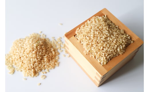 【期間限定】 ミルキークイーン 玄米 30kg 69-P ＜2026年7月31日まで受付＞