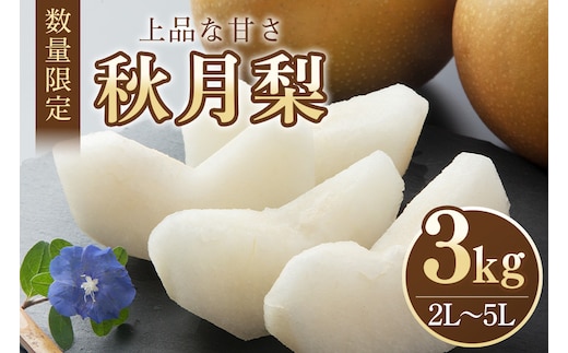 【数量限定・先行予約】 秋月 3kg 2L～5L 6～9玉 【9月15日以降発送予定】 70-C
