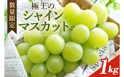 ＜2026年 先行予約＞ シャインマスカット 数量限定 1kg【9月1日以降発送予定】 70-I