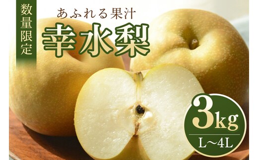 【数量限定・先行予約】 幸水 3kg L～4L 7～10玉 【8月10日～9月末発送予定】 70-L