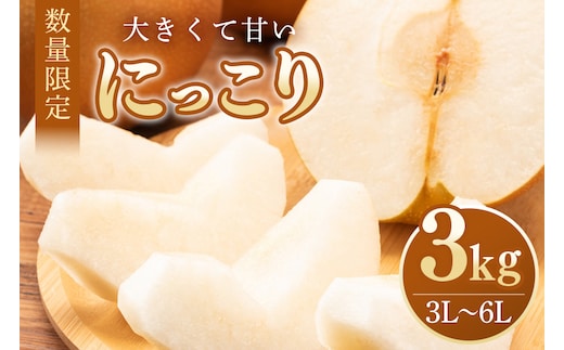 【数量限定・先行予約】 にっこり 3kg 3L～6L 5～8玉 【9月20日以降発送予定】 70-N