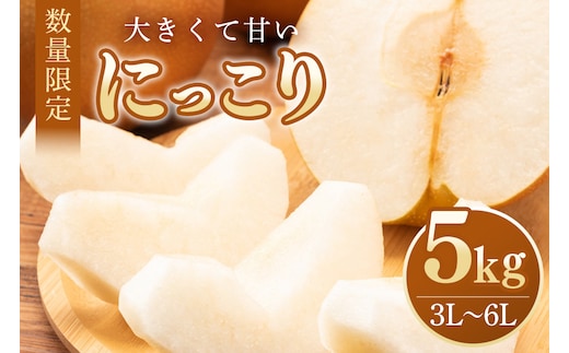 【数量限定・先行予約】 にっこり 5kg 3L～6L 7～14玉 【10月1日～11月末発送予定】 70-O
