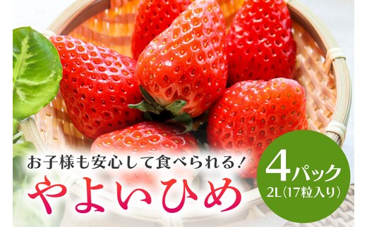やよいひめ 2L（17粒入り）×4パック 1kg以上 （茨城県共通返礼品 石岡市） 71-A