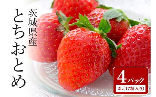 とちおとめ 2L（17粒入り）×4パック 1kg以上 （茨城県共通返礼品 石岡市） 71-D
