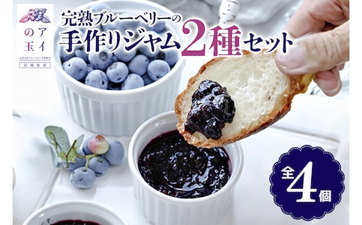 【アイの玉】完熟ブルーベリーの手作ジャム2種セット(全4個) 73-D