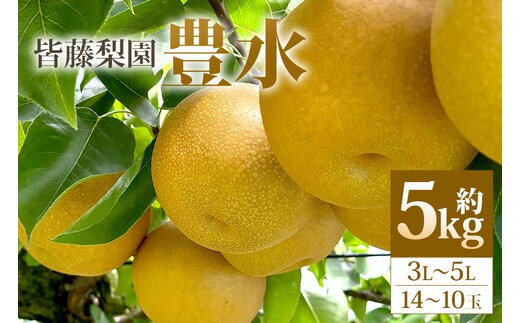 【数量限定・先行予約】【皆藤梨園】豊水（約5kg/3L～5L/14～10玉） 【8月下旬以降発送予定】 75-B