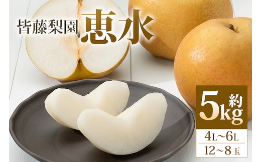 【数量限定・先行予約】梨 恵水（約5kg/4L～6L/12～8玉）【皆藤梨園】【9月上旬以降発送予定】 75-C