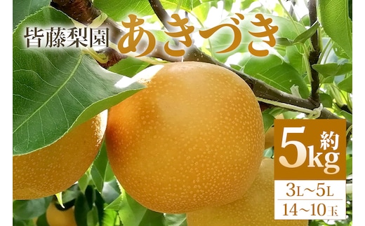 【数量限定・先行予約】梨 あきづき（約5kg/3L～5L/14～10玉）【皆藤梨園】【9月上旬以降発送予定】 75-D