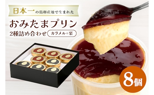 おみたまプリン2種詰合せ 8個入り カラメル＆栗 贈答用黒箱 8-T