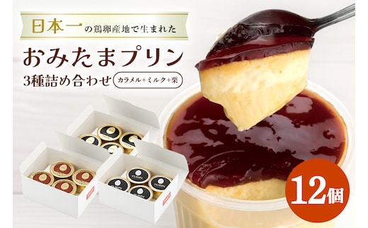 おみたまプリン3種詰合せ 12個入り カラメル＆ミルク＆栗 白箱 8-W