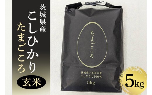 【数量限定】小美玉産コシヒカリ「たまごころ」玄米5kg 8-X