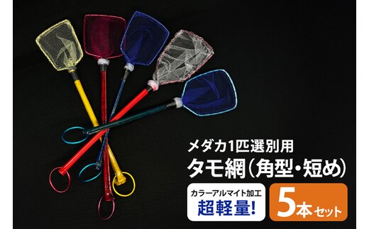 メダカ1匹選別用 タモ網（角型・短め） 5本セット 83-L
