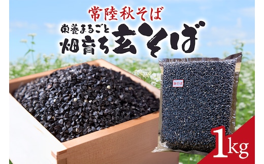 常陸秋そば 畑育ち 栄養まるごと 玄そば 1kg 84-A