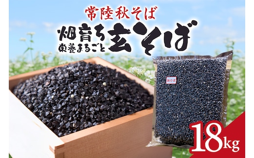 常陸秋そば 畑育ち 栄養まるごと 玄そば 18kg 84-B