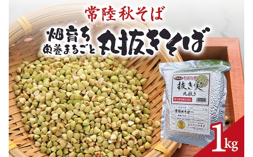 常陸秋そば 畑育ち 栄養まるごと 丸抜きそば 1kg 84-C