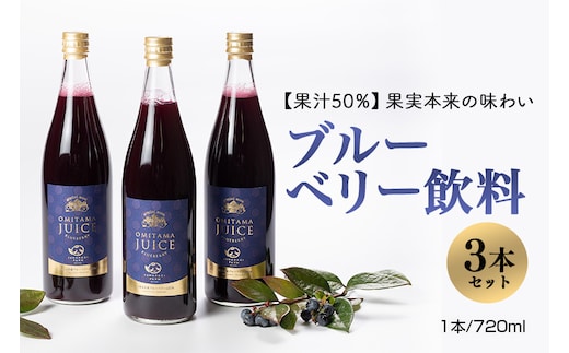 果汁50％ブルーベリー飲料3本セット 9-A