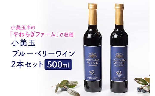 小美玉ブルーベリーワイン2本セット 9-F