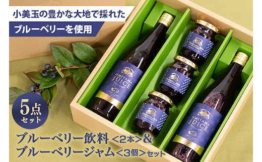 果汁50％ブルーベリー飲料2本＆ブルーベリージャム3個セット 9-G