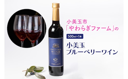 小美玉ブルーベリーワイン1本 9-J