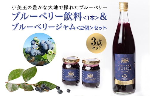 果汁50％ブルーベリー飲料1本＆ブルーべリ－ジャム2個セット 9-K