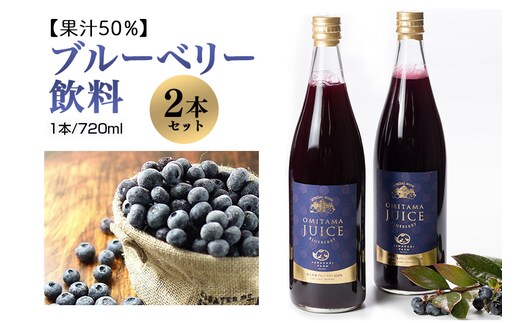 果汁50％ブルーベリー飲料2本セット 9-L