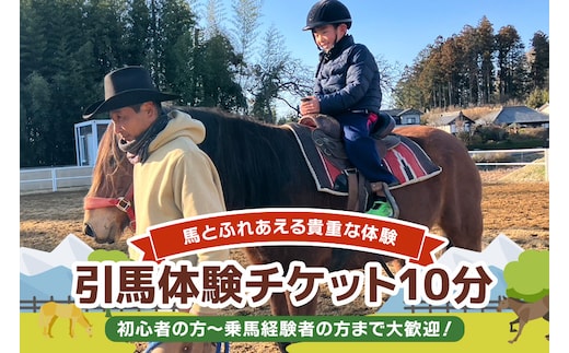 ★ROCKY★ 引馬体験チケット 10分 92-A