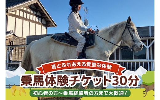 ★ROCKY★ 乗馬体験チケット 30分 92-B