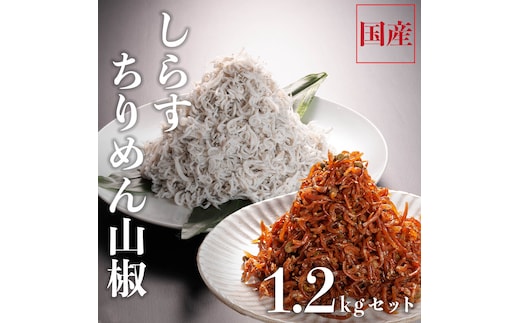 しらす 1kg ちりめん山椒 100g しらす佃煮 100g セット しらす干し 釜揚げしらす ちりめん山椒 しらす佃煮 国産 魚介類