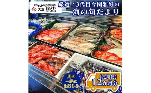 定期便 12ヶ月 鮮魚店「魚忠」 厳選鮮魚セット 大洗 厳選 旬 魚 さかな