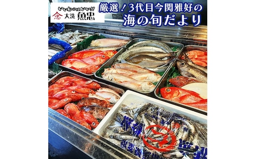 鮮魚店「魚忠」 厳選鮮魚セット 大洗 厳選 旬 魚 さかな
