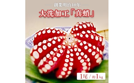 【12月23日決済分まで年内発送】創業明治 40年 大洗加工 真蛸 1尾 約 1kg 茨城県 大洗 たこ 蛸 タコ